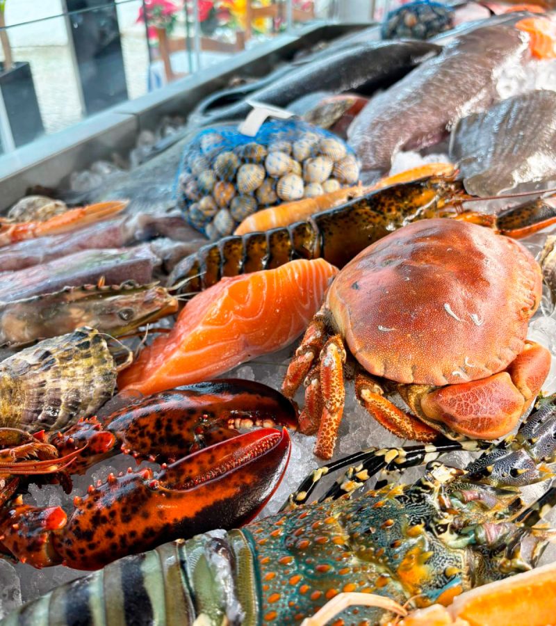 marisco e peixe 3
